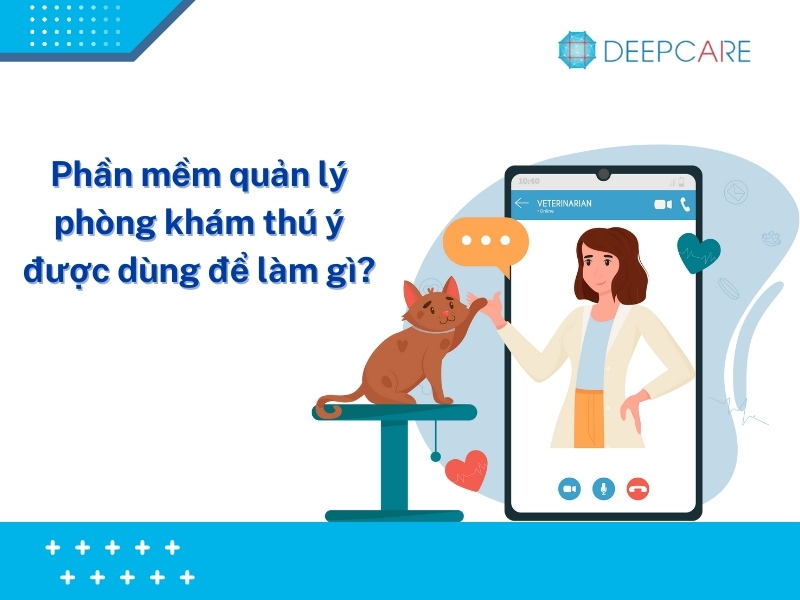 6 tính năng cần thiết phần mềm quản lý phòng khám thú y 