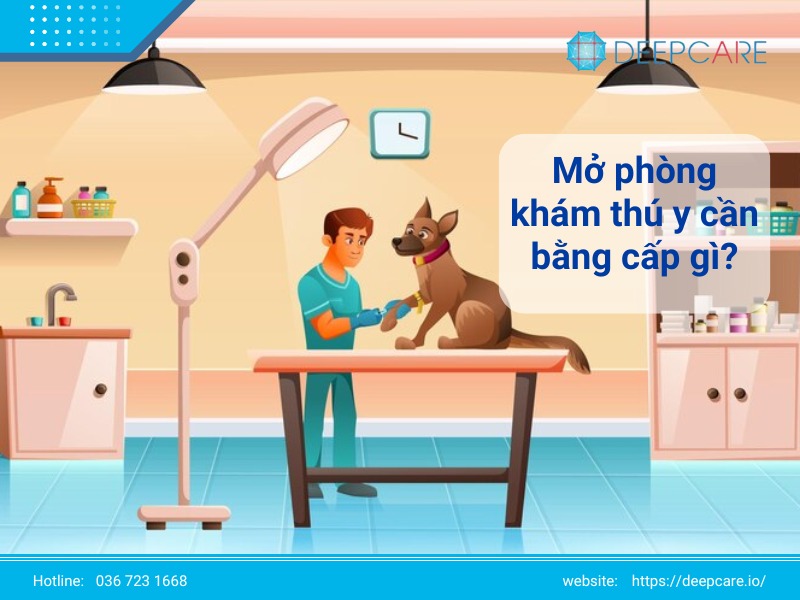 Giải đáp mở phòng khám thú y cần bằng cấp gì?